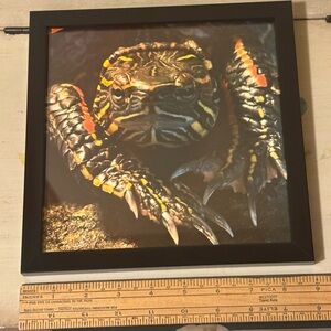 Reptile Photography Art taken by Dyan La Belle-“Show Stopper” with Black Frame.